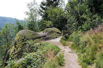 Wanderweg Falkenfelsen Schwarzwald