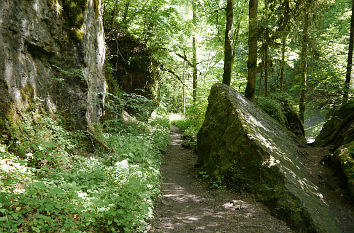 Gauchachschlucht im Schwarzwald