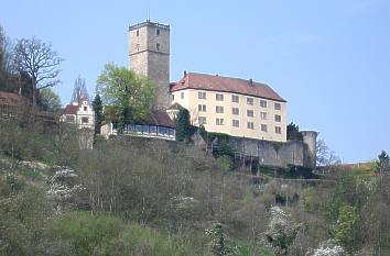 Burg Guttenberg vom Neckartal gesehen