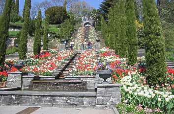 Insel Mainau im Bodensee