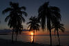 Sonnenuntergang Kokospalmen Meer Karibik