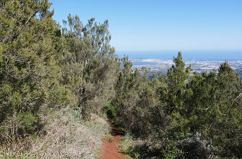 Blick vom Pico de Osorio auf Gran Canaria