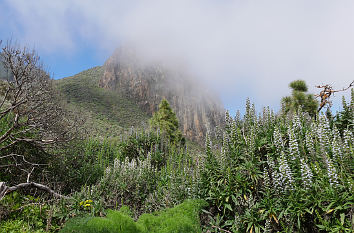 Bergwelt bei Valsequillo auf Gran Canaria