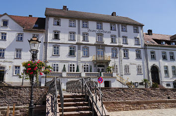 Hotel zum Schwan in Bad Karlshafen