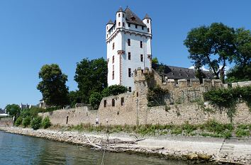 Kurfürstliche Burg Eltville