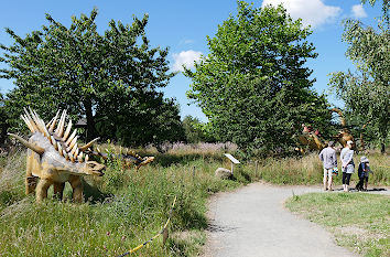 Wanderweg im Saurierpark Usedom