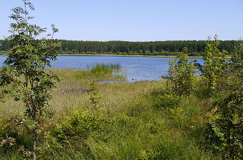 Hirschler Teich im Oberharz