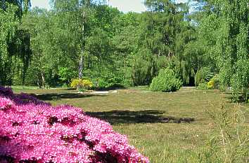 Quermania Bremen Botanika und Rhododendronpark Botanischer Garten