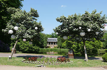 Bürgerpark in Bremen