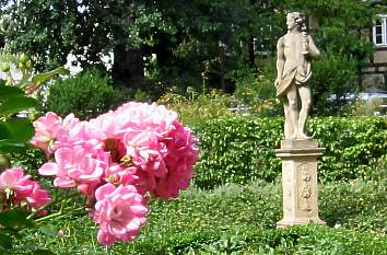 Rosengarten im Französischen Garten in Celle