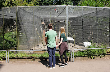 Vogelvolieren im Botanischen Garten in Oldenburg