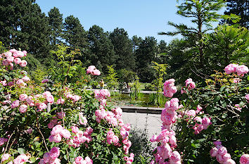 Rombergpark und Botanischer Garten Dortmund