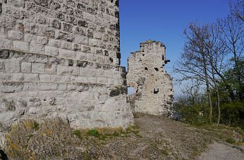 Burg Drachenfels in Königswinter