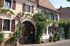 Weinbauernhof mit Ranken