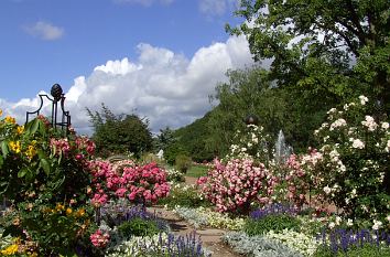 Quermania - Europas Rosengarten in Zweibrücken, eine der schönsten