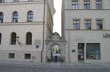 Leucora der Martin-Luther-Universit&auml;t Halle-Wittenberg