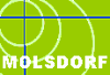 Homepage von Molsdorf