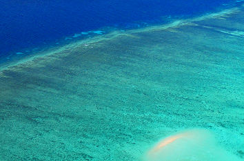 Korallenriff bei Cairns