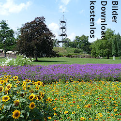 Bilder Download kostenlos
