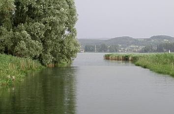 Aachmündung in den Bodensee