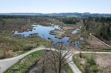 Blick vom Bannwaldturm auf das Ried