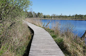 Moorsee Fünfeckweiher Pfrunger-Burgweiler Ried