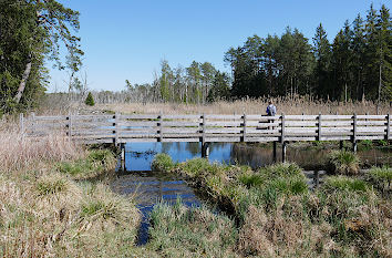 Steg durch das Moor Pfrunger-Burgweiler Ried