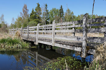 Brücke über das Moor Pfrunger-Burgweiler Ried