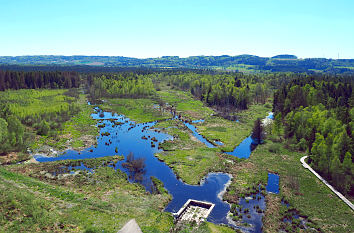 Blick vom Bannwaldturm auf das Ried