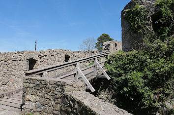 Salzbüchsle am Aufstieg Festung Hohentwiel