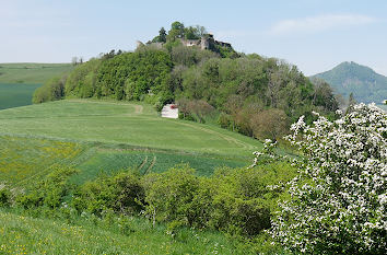 Blick zum Mägdeberg im Hegau
