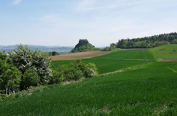 Blick zur Burg Hohenkrähen im Hegau