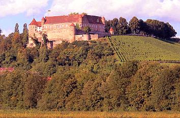 Burg Stettenfels mit Weinberg