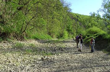 ausgetrocknetes Flussbett der Donau