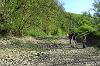 Donauversickerung bei Immendingen