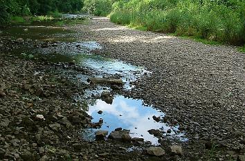 Donauversickerung bei Immendingen