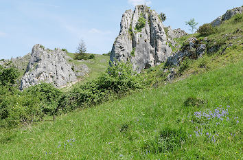 Blumenwiese und Felsen im Eselsburger Tal