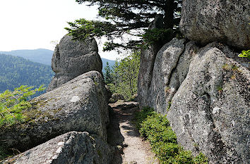 Wanderweg Falkenfelsen Schwarzwald