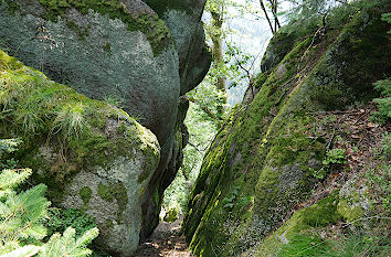 Wanderweg Falkenfelsen Wiedenbachtal