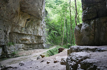 Blick aus der Falkensteiner Höhle Schwäbische Alb