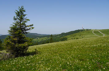 Blick vom Seebuck zum Feldberg