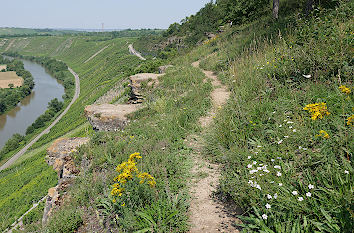 Weg zu den Hessigheimer Felsengärten