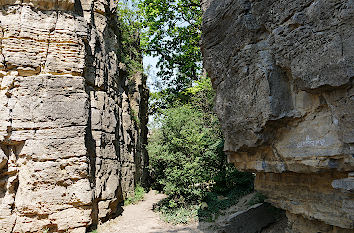 Schlucht in den Hessigheimer Felsengärten