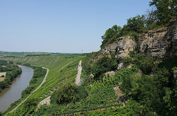 Hessigheimer Felsengärten und Neckar