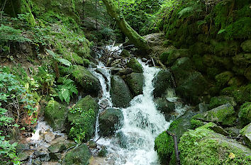 Wildbach bei Geroldsau im Schwarzwald