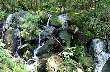 Gertelbach Wasserfälle Schwarzwald