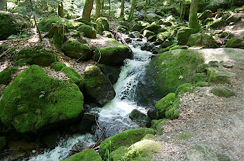 Wanderweg neben den Gertelbachfällen