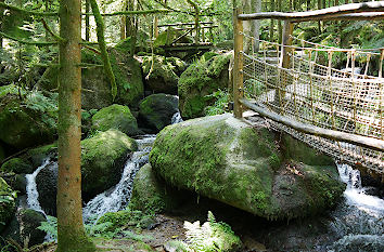 Brücken über den Gertelbach im Schwarzwald