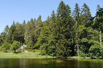 Naturparadies Schlüchtsee Grafenhausen im Schwarzwald