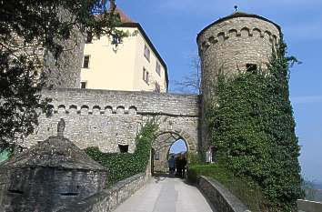 Zugang zur Burg Guttenberg